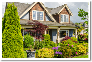 Davis Brothers | Residential Landscaping